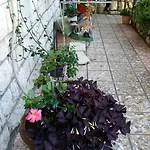 Gostinjska kuća Ivona Dubrovnik