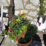 Ivona Pensionat Dubrovnik