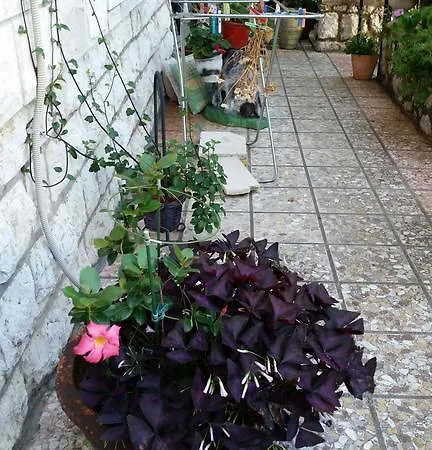 Maison d'hôtes Ivona Dubrovnik