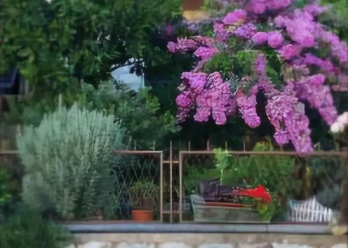 Gasthuis Ivona Dubrovnik