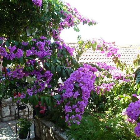 Ivona Guest house