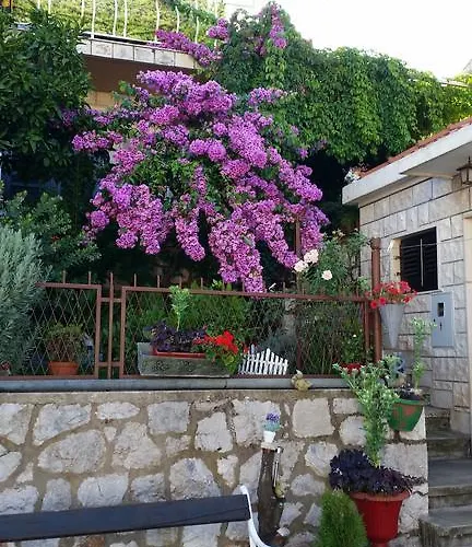 Ivona Dubrovnik