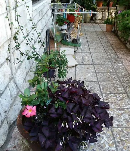 Konukevi Ivona Dubrovnik